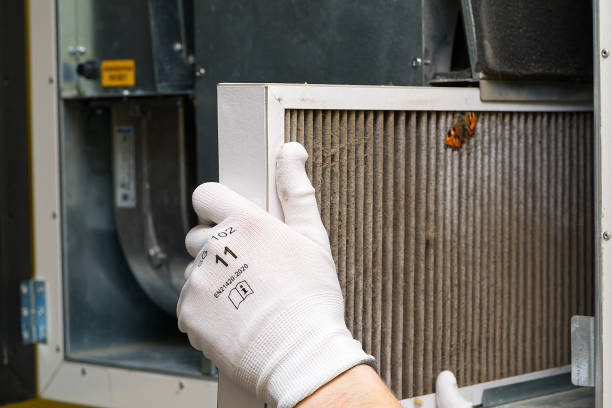 Best Commercial HVAC Duct Cleaning  in Albany, MN