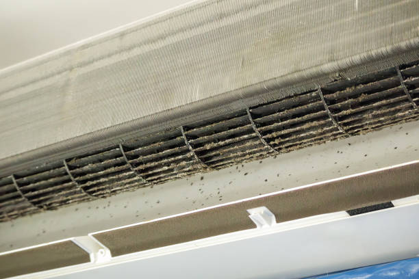 Best Best Air Duct Cleaning Company  in Albany, MN