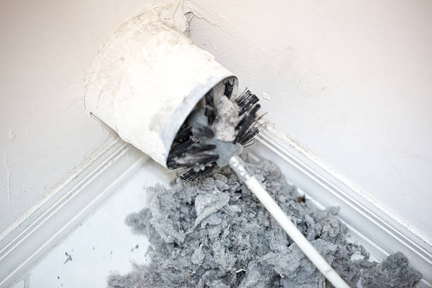 Best HVAC Air Duct Cleaning  in Albany, MN