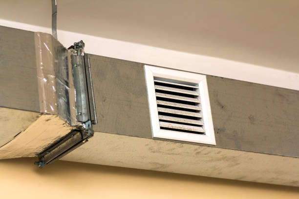 Best HVAC Duct Inspection Services  in Albany, MN